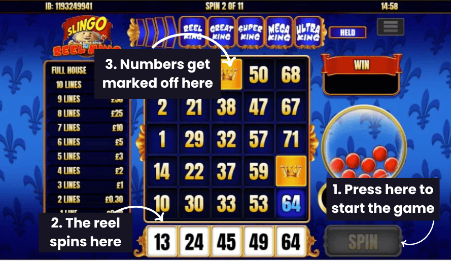 How to Play Slingo